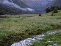 In the Huaripampa River valley, heading South to Vaqueria. (Category:  Travel)