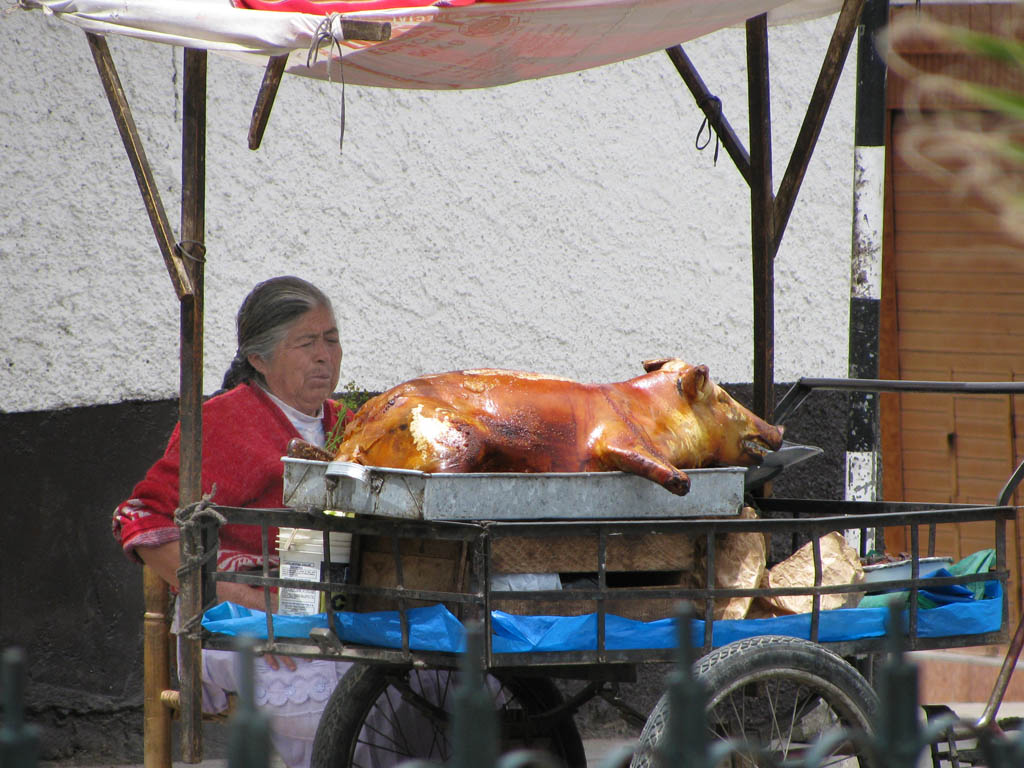 Pig cart! (Category:  Travel)