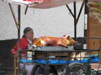 Pig cart! (Category:  Travel)