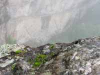 Inca bridge in the distance. (Category:  Travel)