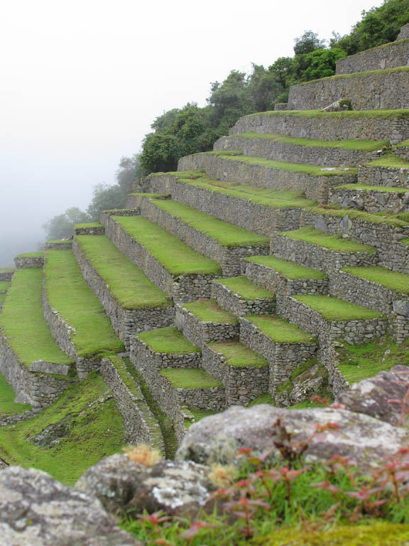 Agricultural terraces. (Category:  Travel)