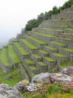 Agricultural terraces. (Category:  Travel)