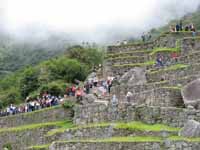 Something like 2,000 visitors in a typical day.  I had a really hard time keeping tourists out of the frame in most of my photos. (Category:  Travel)