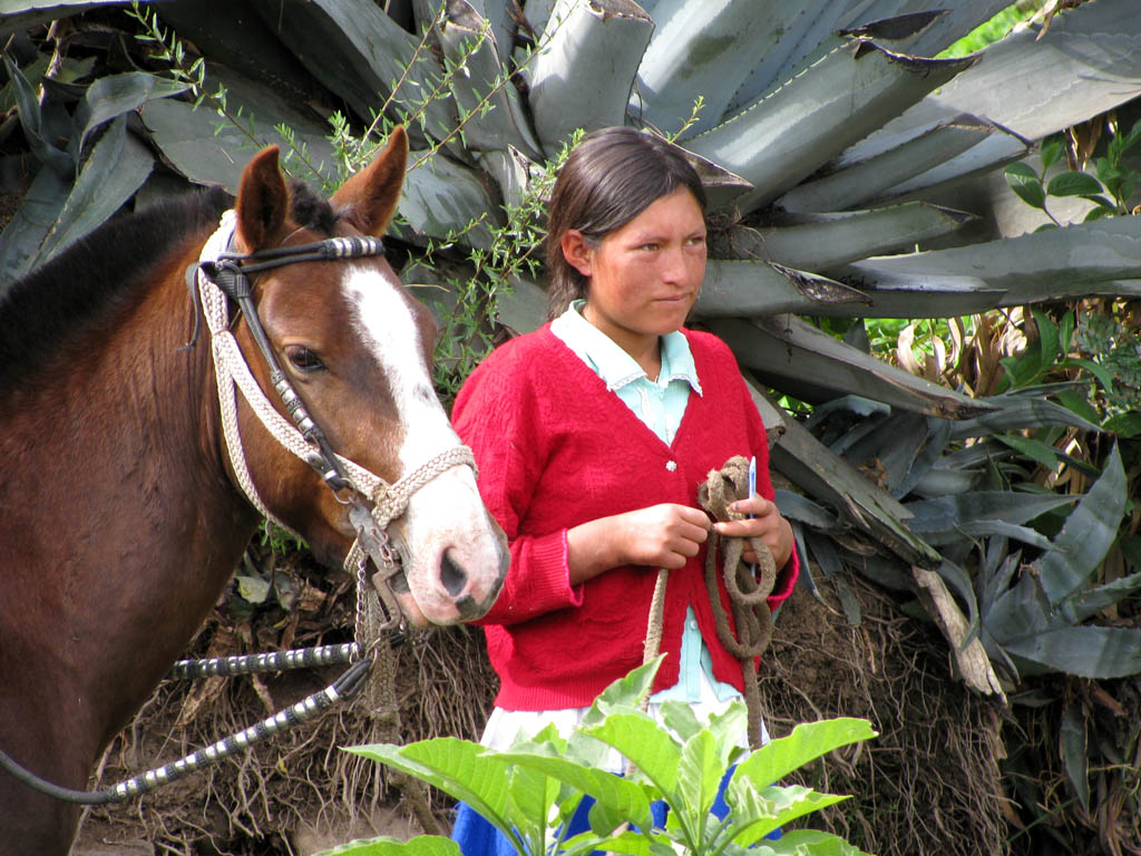 Bringing our horses. (Category:  Travel)