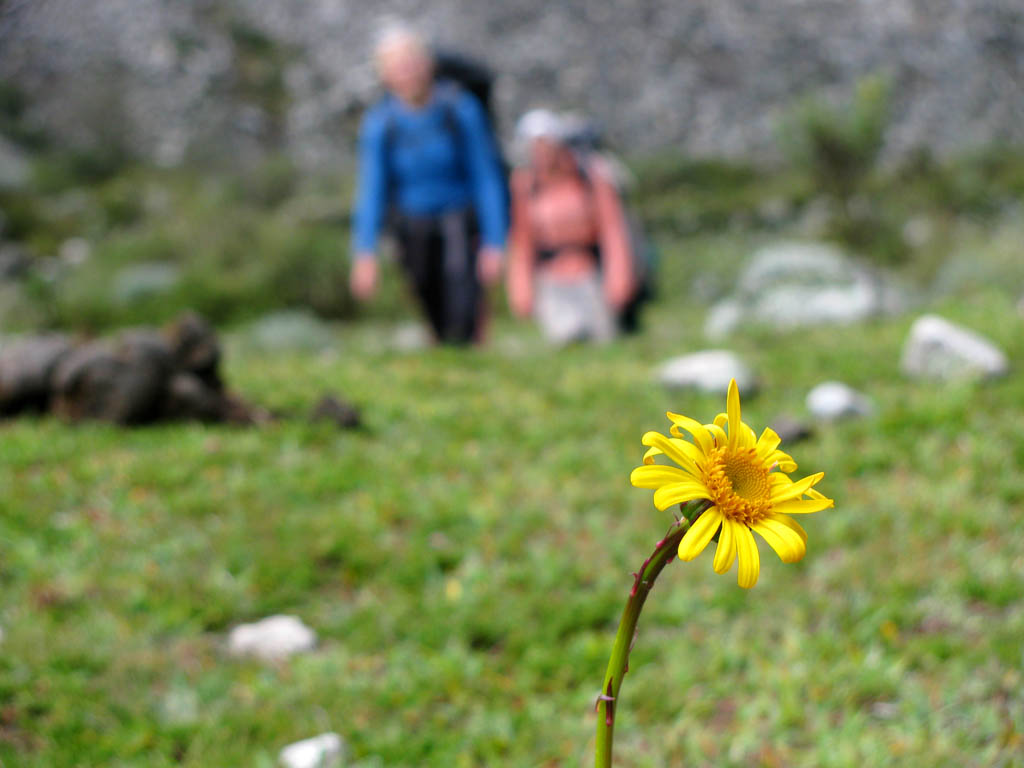 I thought this was a cool image of hikers on the trail. (Category:  Travel)