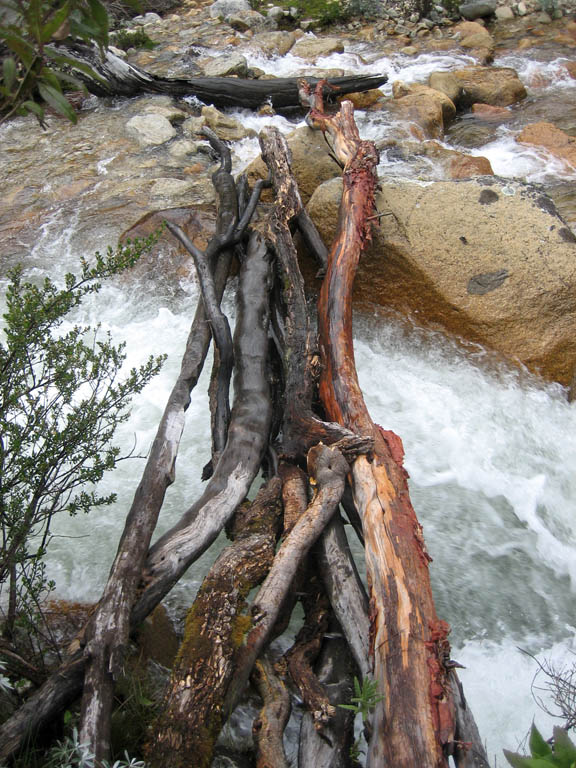 Sketchy log crossing. (Category:  Travel)