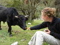 Beth making friends with the locals. (Category:  Travel)