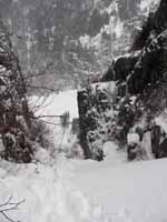 We quickly left Avalanche Lake behind. (Category:  Ice Climbing)