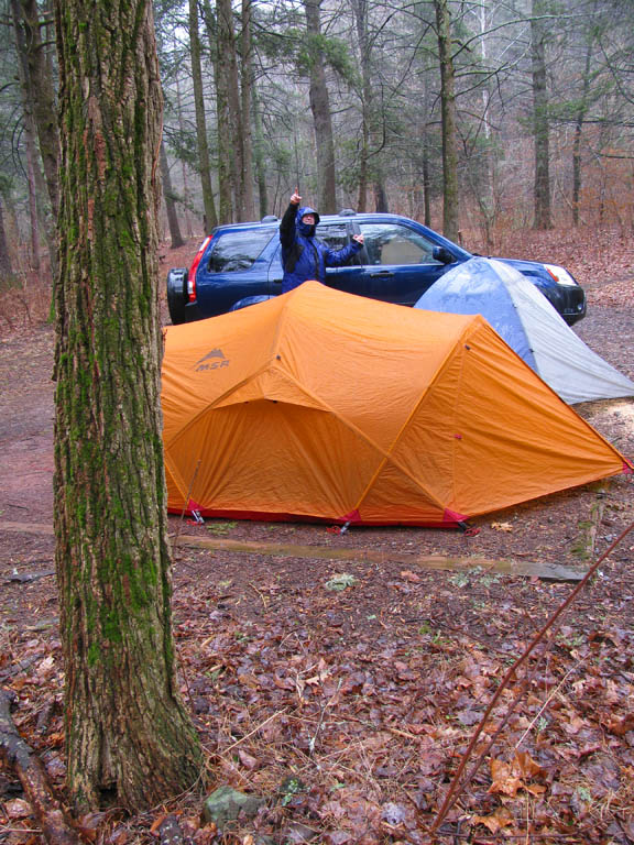 Jason was afraid of a tree falling on our tents. (Category:  Camping)