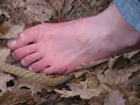 How will you ever get a husband with feet like that? (Category:  Rock Climbing)