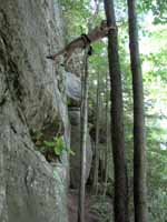 Jess the tree hugger. (Category:  Rock Climbing)