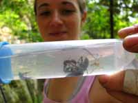 Jess and some of the bugs she collected this day. (Category:  Rock Climbing)