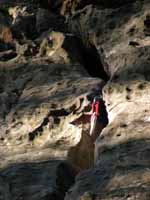 Red camalot on Face Up To That Crack. (Category:  Rock Climbing)