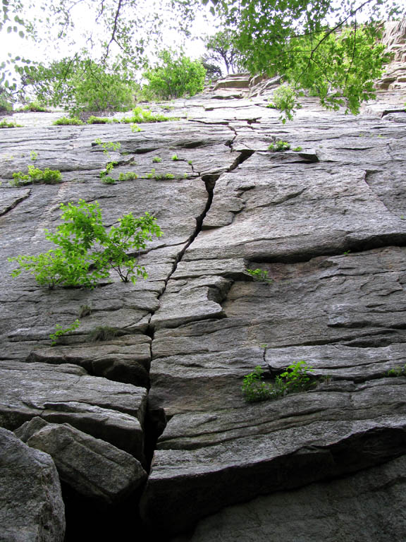 Baby (Category:  Rock Climbing)