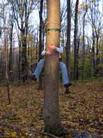 Tree hugger! (Category:  Tree Climbing)