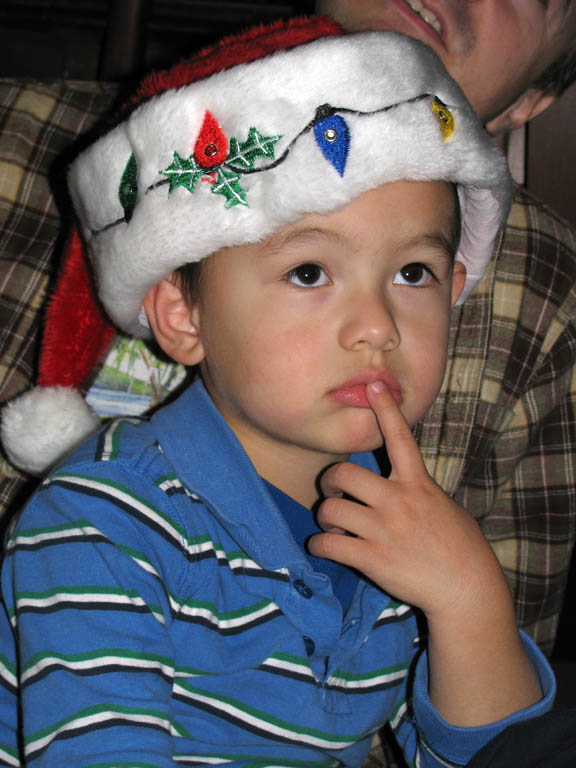 Xander and his holiday hat. (Category:  Party)