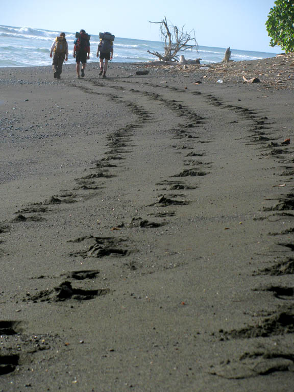 Jess, Joe and Alex hiking along the Pacific Ocean. (Category:  Travel)