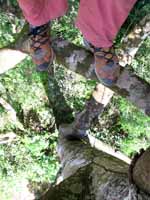Standing on a branch 100' above the ground in the Bengali Tiger Trap Ceiba. (Category:  Travel)