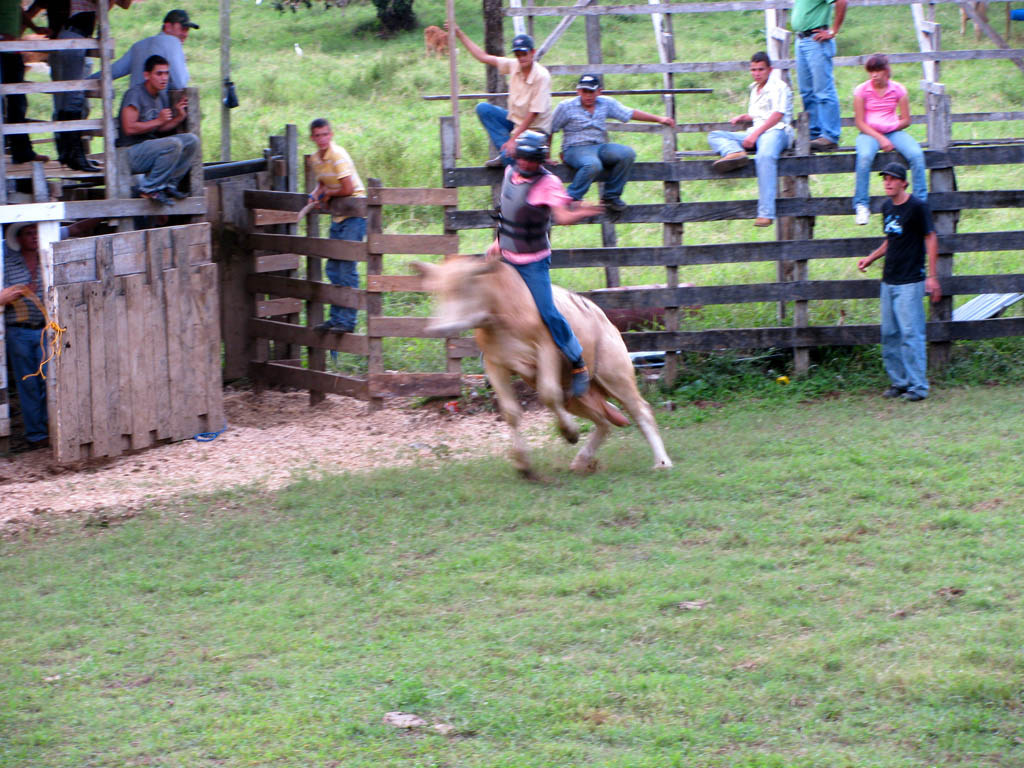 Bull riding... (Category:  Travel)