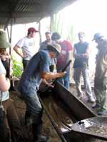 The reduced sugar cane juice is stirred until it begins to crystallize. (Category:  Travel)