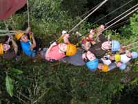 The entire class 100' up in Gringo Mike's tree.  Hannah, Regie, Casey, Mike, Colin, Drew, Joe, Alex, Brandon. (Category:  Travel)