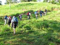 Hiking up to the jungle trees. (Category:  Travel)