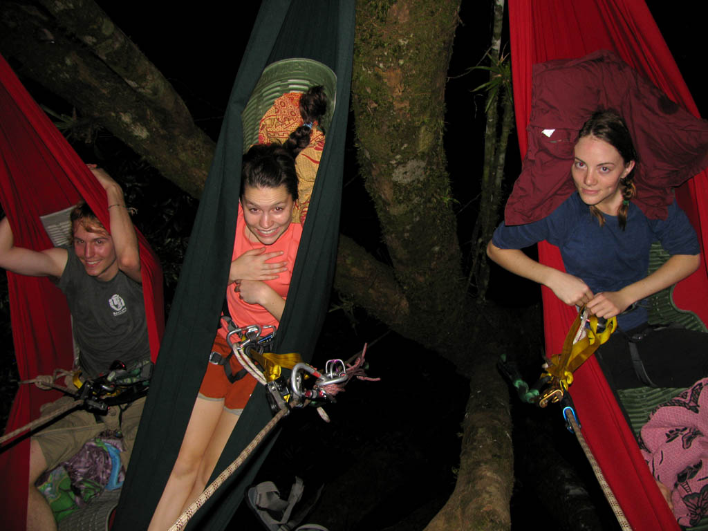 Drew, Casey and Hannah in their hammocks, 50 feet above the ground in a large Guacimo Colorado. (Category:  Travel)