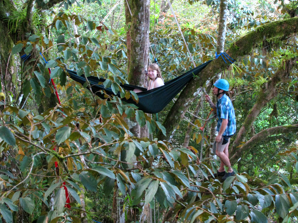 Alex and Dave in the next tree over.  It sort of looks like they are standing on the ground... (Category:  Travel)