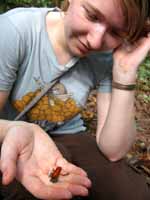 Alex holding the Red and Green Poison Dart Frog.  By the way, none of the poison dart frogs are actually poisonous unless you boil them.  Just in case you were worried. (Category:  Travel)