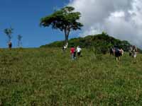 Hiking to the sugar shack. (Category:  Travel)