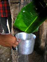 Raw juice comes out of the press. (Category:  Travel)