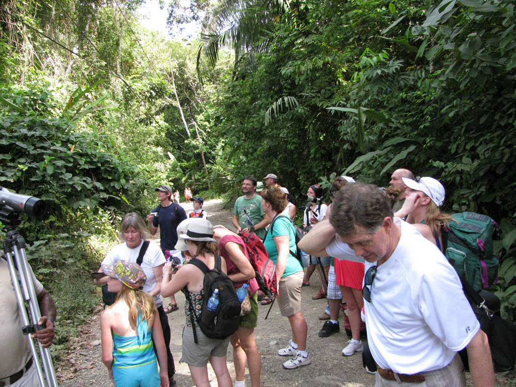 If a sloth is hanging out near the main road, you'll definitely see a few clues. (Category:  Travel)