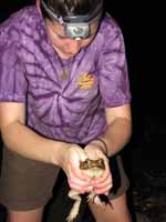 Casey with the Cane Toad. (Category:  Travel)
