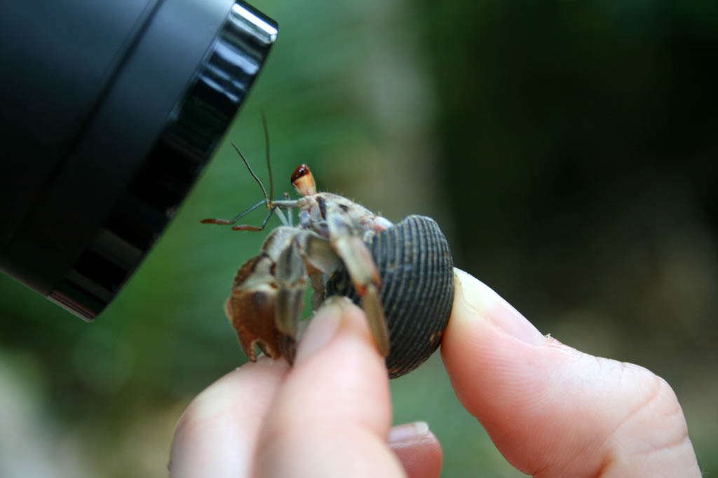 I'm your biggest fan, I'll follow you until you love me.  Papa-paparazzi. (Category:  Travel)