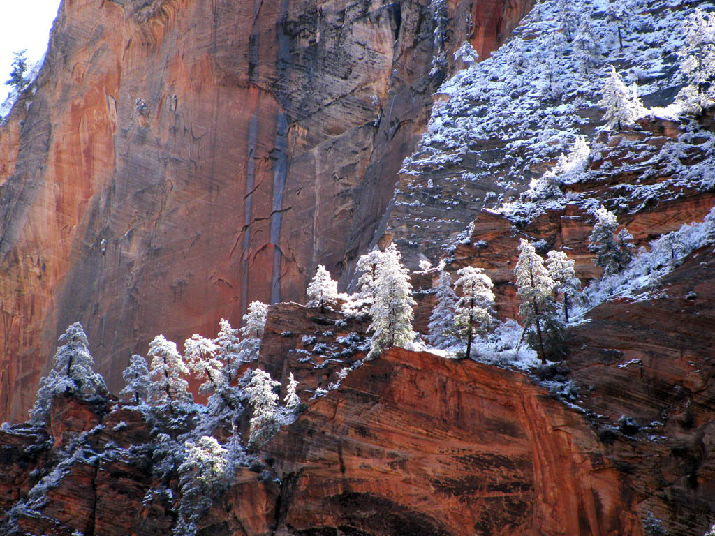 Quite a bit of snow the night before. (Category:  Rock Climbing)