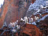 Quite a bit of snow the night before. (Category:  Rock Climbing)