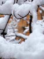 More snow. (Category:  Rock Climbing)