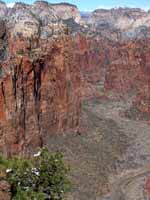 Moonlight Buttress viewed from Angel's Landing. (Category:  Rock Climbing)