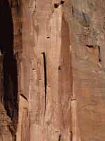 I'm leading pitch four of Moonlight Buttress.  Best pitch ever! (Category:  Rock Climbing)