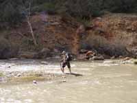 Tammy crossing the Virgin River. (Category:  Rock Climbing)