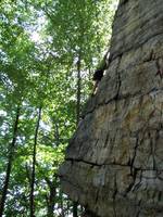 Emily climbing Sleepwalk. (Category:  Rock Climbing)