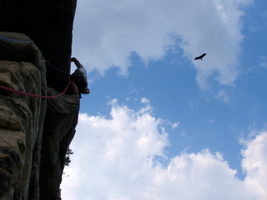 Alex caught this shot of a vulture circling overhead as I led High E. (Alex's Photo) (Category:  Rock Climbing)