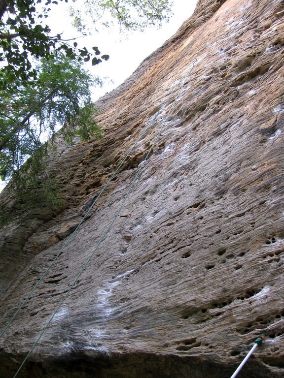 Guy asshatted me from above the third bolt on AWOL. (Category:  Rock Climbing)