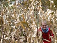 Children of the Corn (Category:  Party)