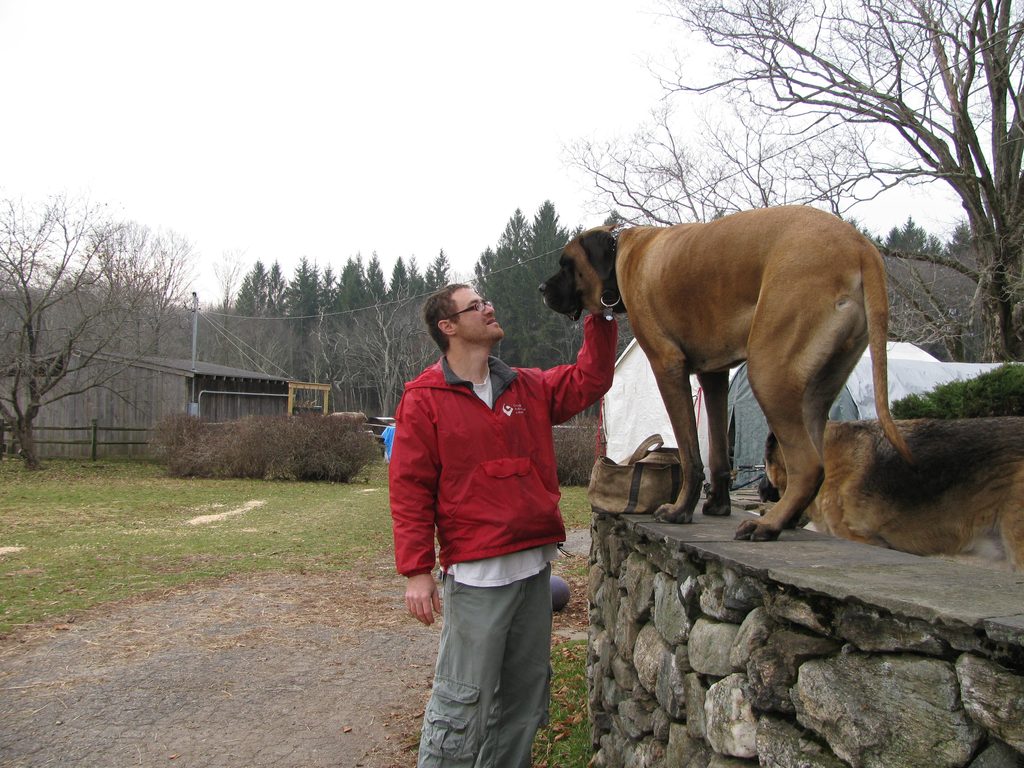 I'm petting Winston, one of the huge dogs who had run of the place. (Category:  Family)