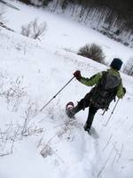 Snowshoeing (Category:  Snowshoeing)