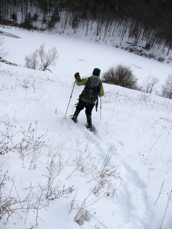 Snowshoeing (Category:  Snowshoeing)