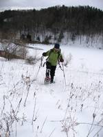 Snowshoeing (Category:  Snowshoeing)