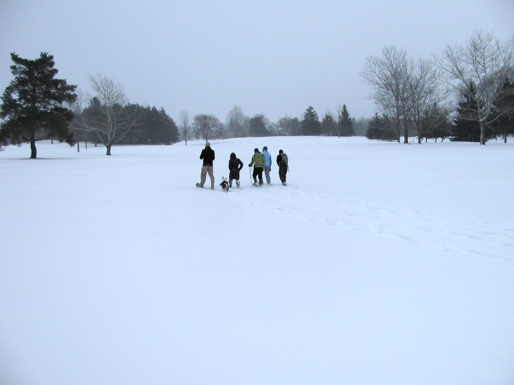 Drew, Catherine, Emily, Carolyn, Abraham (Category:  Snowshoeing)