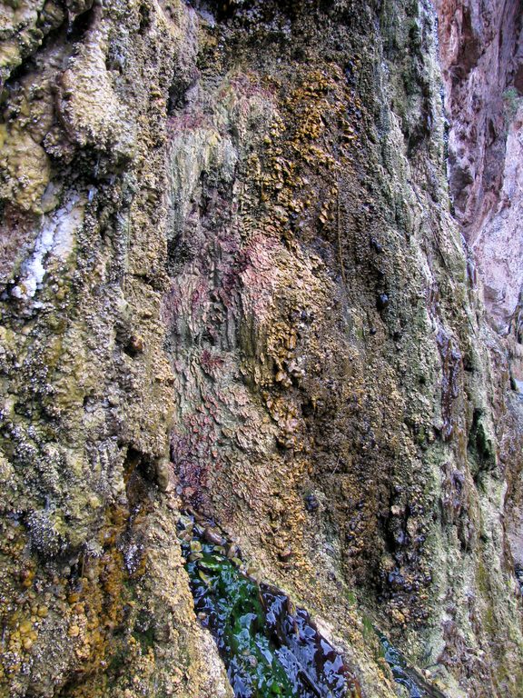 Some really cool mineral deposits where the hot springs seeps from the canyon wall. (Category:  Rock Climbing)